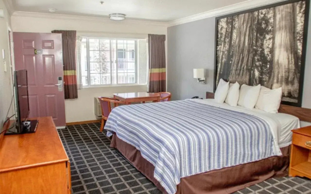 Super 8 By Wyndham Willits