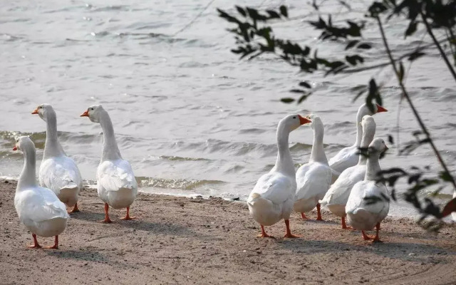 Shaoxing Kuaiji Mountain Yangming Hotel