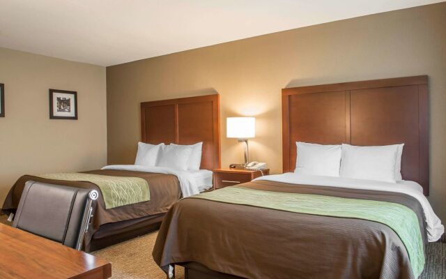 Comfort Inn Edinburg