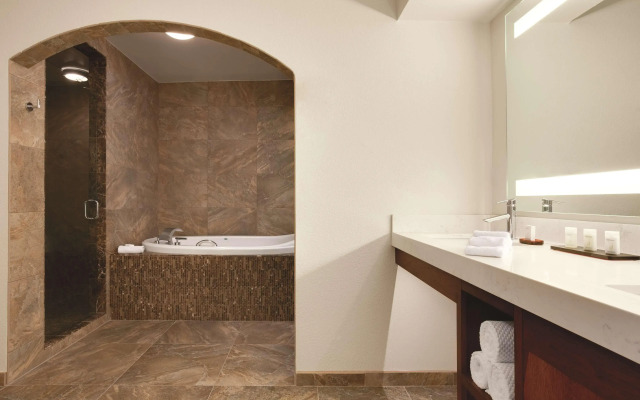 Embassy Suites by Hilton Scottsdale Resort