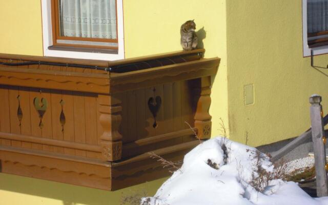 Binderhof