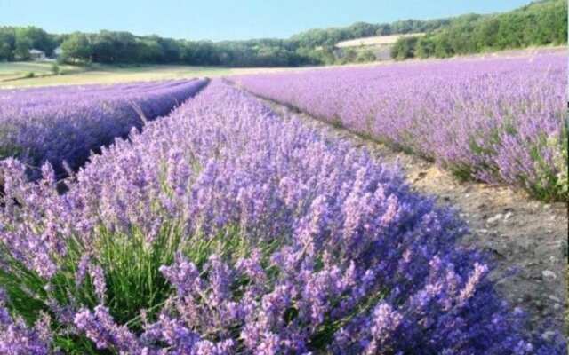 Mas de Pantaï - Bastide Chamaret