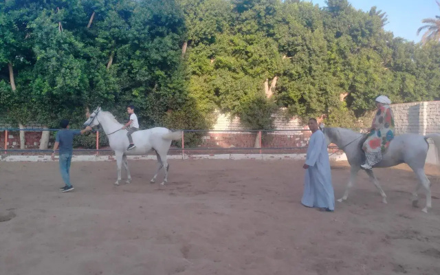 Nasser Abughoneim Guest house
