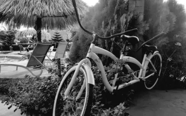 Cabañas El Paraíso Ometepe