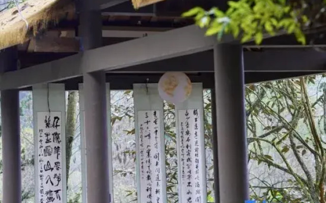Jingshan Zhidu Forest Hot Spring B&B (Qingcheng Back Mountain Scenic Area Branch)