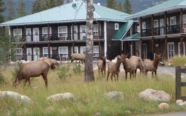 Pine Bungalows