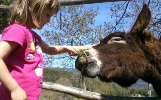 Hostal rural Masia el Buxaus Montseny