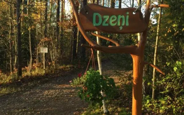 Dzeni