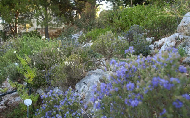The Garden of Zephyrus