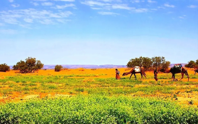 Locals Under Stars Trips