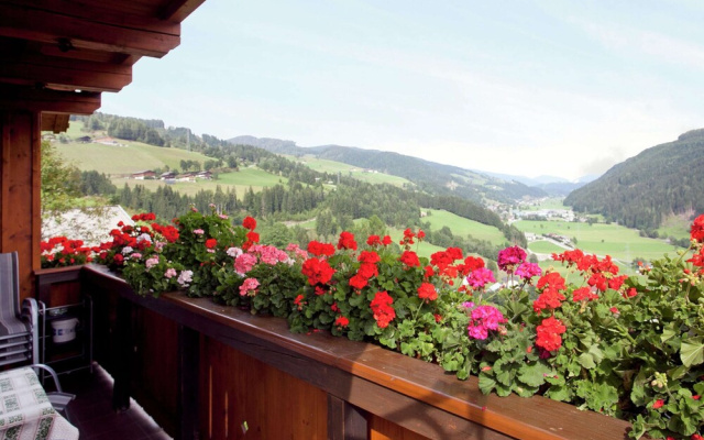 Apartment in Salzburger Land With Balcony
