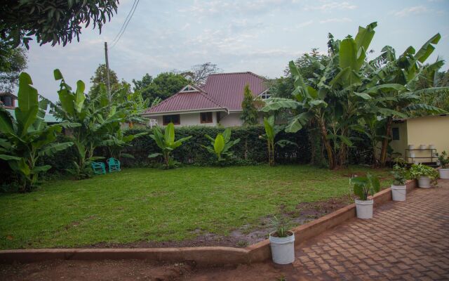 The Pink Daisy Bed and Breakfast