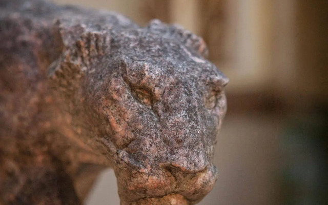 The Lions Guesthouse