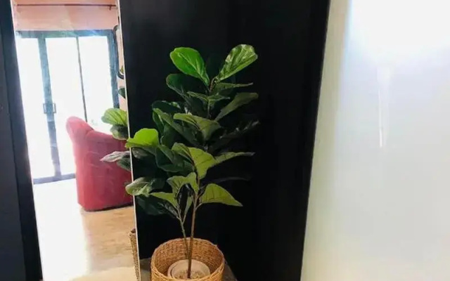 Forest Hill Resort