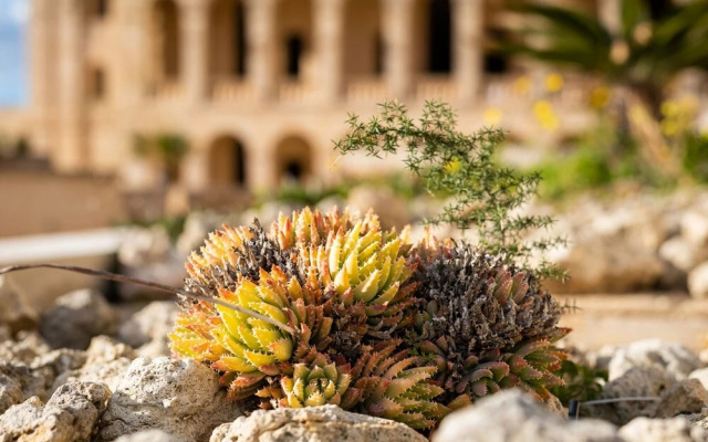Harbour Views Gozitan Villa + Shared Pool