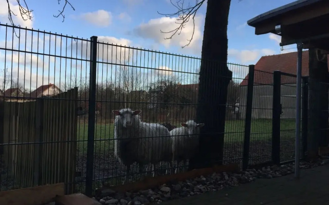 Ferienwohnung Romance