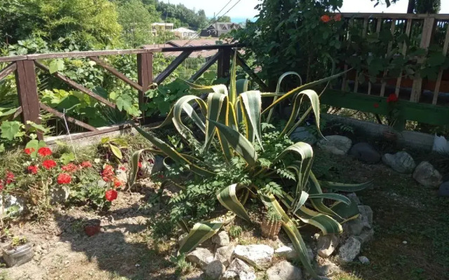 Guest house Rechnaya 6