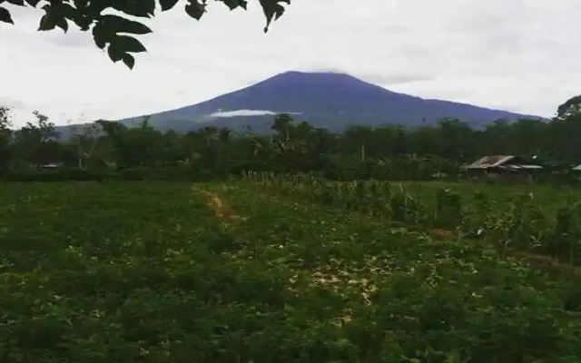 Gardenia Guest House