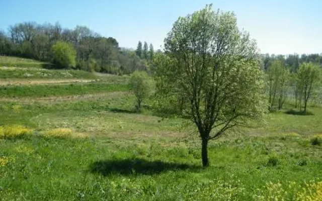 Clos Vieux Rochers Vineyard