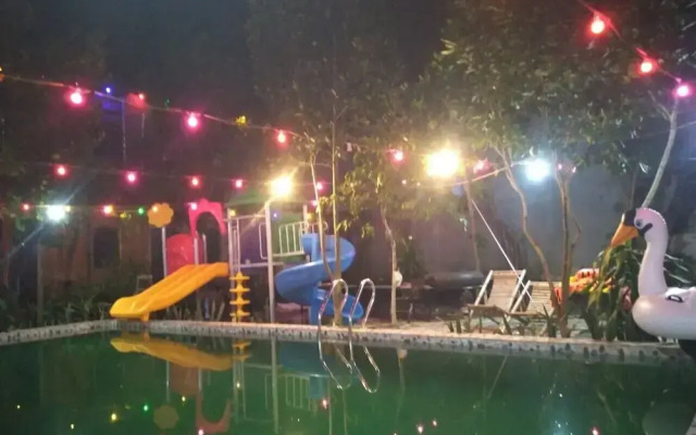 Ali Home