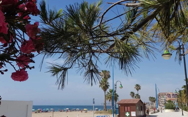 "Vero Vijola" in Torrevieja