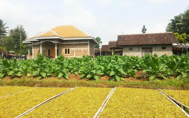Janur Bungalow