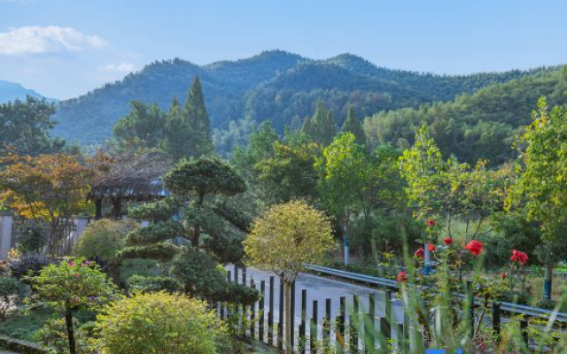Creek Building · Upstream Rafting River rafting · Wooden Residence Holiday Inn
