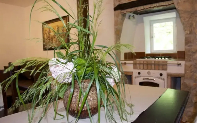 Apartment Renata