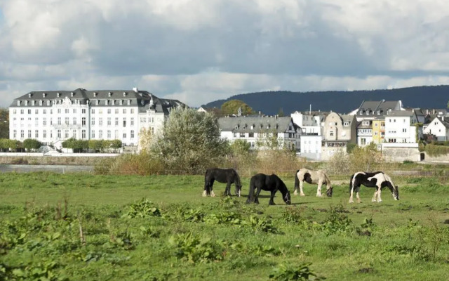 Rheinhotel LARUS
