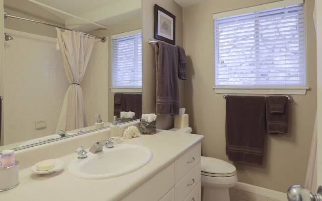 Hale Alaula - Ocean View 3Br Home