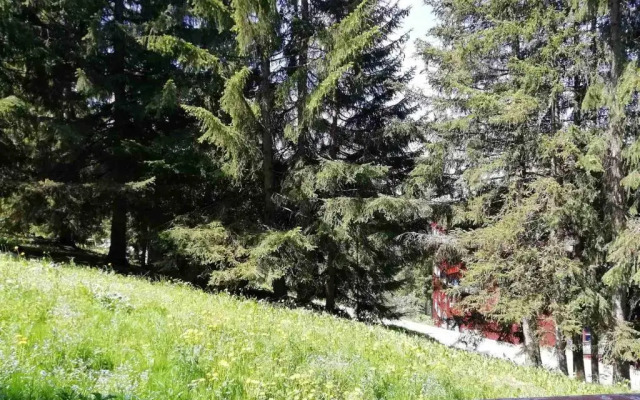 Appartement Les Arcs 1800, 1 pièce, 5 personnes - FR-1-411-209
