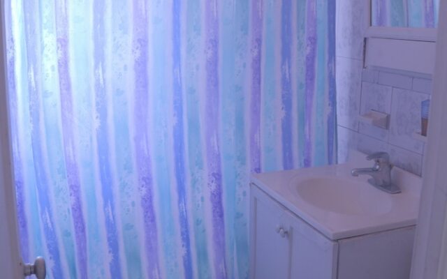 Walk in the heart of Wynwood