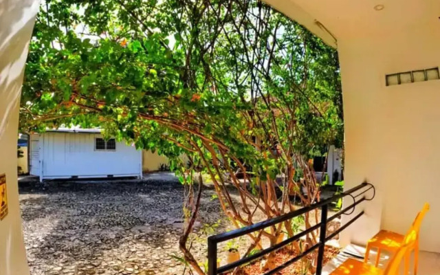 Divers Lodge Plumeria