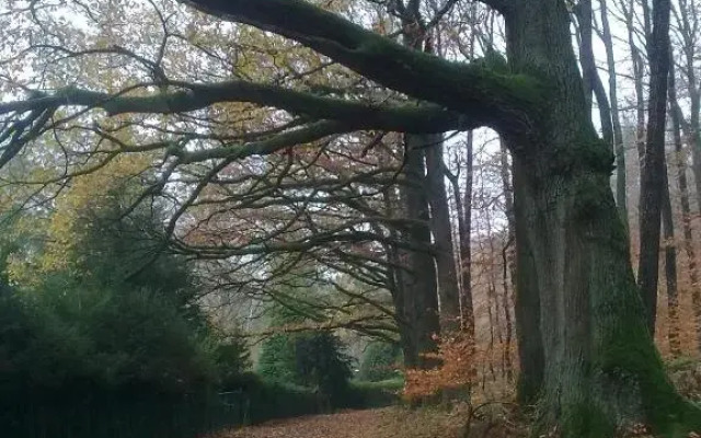 FeWo - Wohlfühlambiente & Gartenparadies