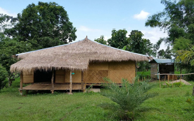 Jungle Zone
