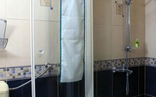 Apartment Lisinski S