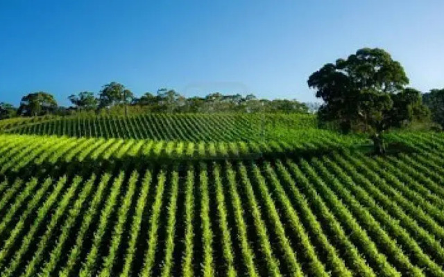 Argo Bed and Breakfast