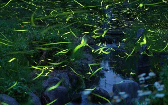 Hito no Yado Takimien