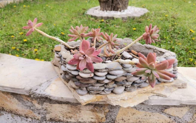 Holiday house Niksi - with pool: Skrip, Island Brac
