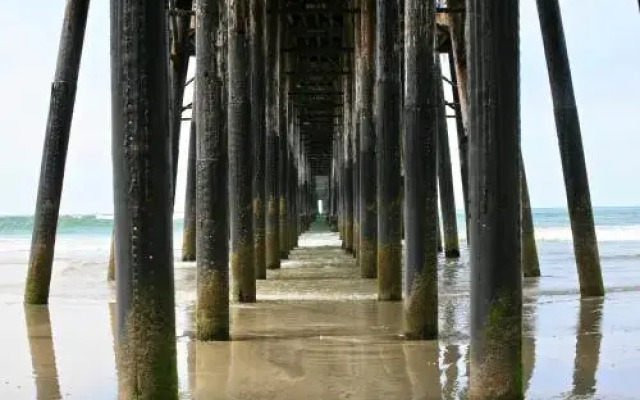 Endless Summer