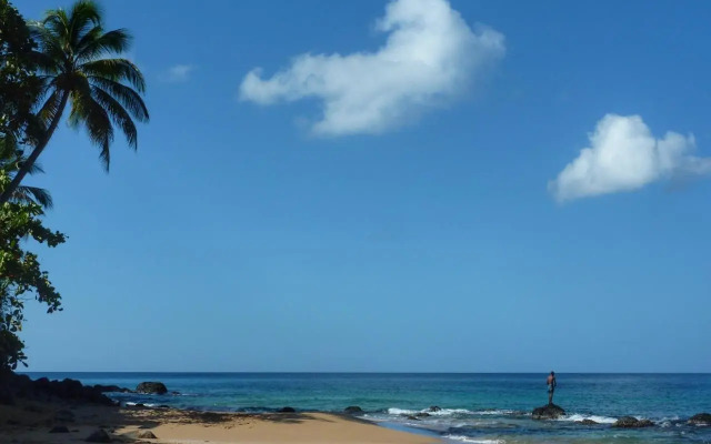 Studio Malacca et Malanga- Ô Cœur de Deshaies