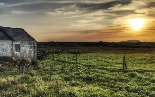 White Thorn House