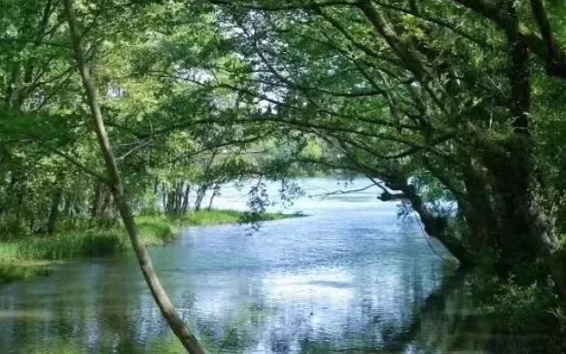Wangshan Life Fishing Snow Garden Natural Aesthetics Homestay (Huangshan Xixinan Ancient Village) – Outside – Huangshan