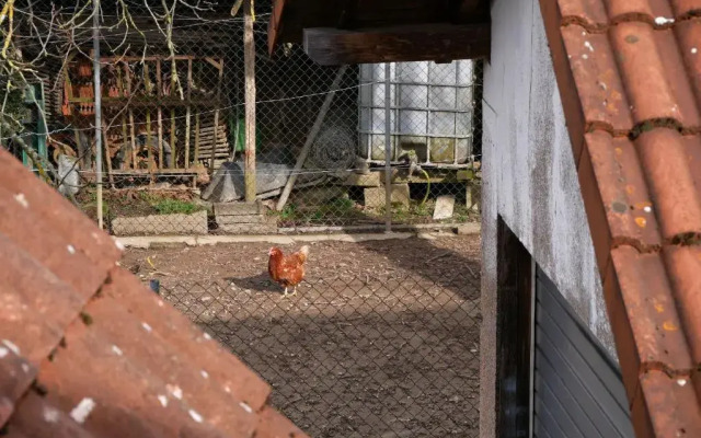 Ferienwohnung Obere Alm