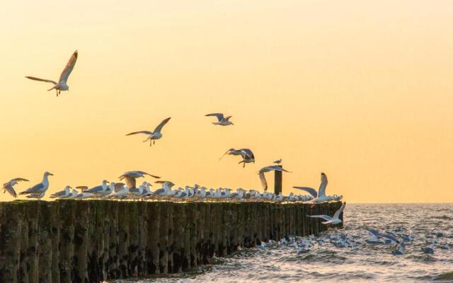 Boszicht 6 aan de Kust