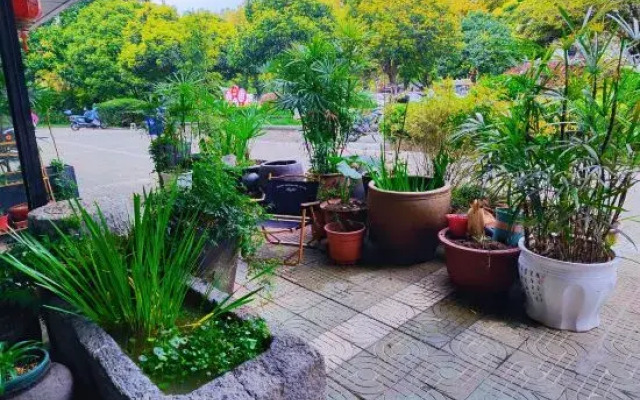 Ruoyin Hostel