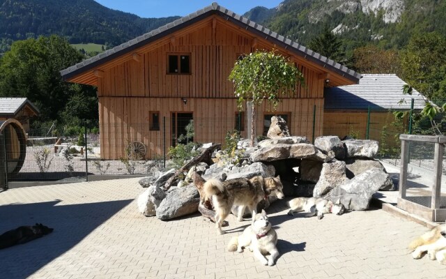 Gîte la Patte Nordic - Chalet Enouck