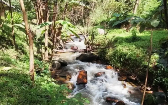 The Natural Healing Spa Retreat