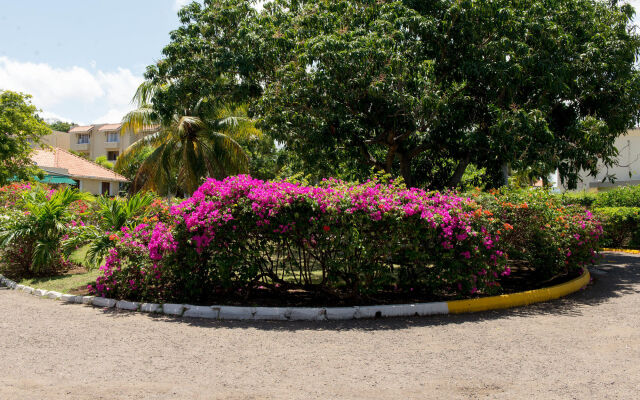 Sea Shell Beach Studio At Montego Bay Club Resort