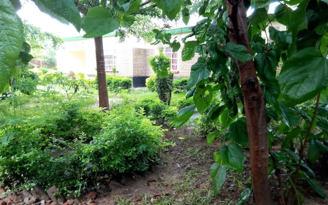 Lodge B Mawira